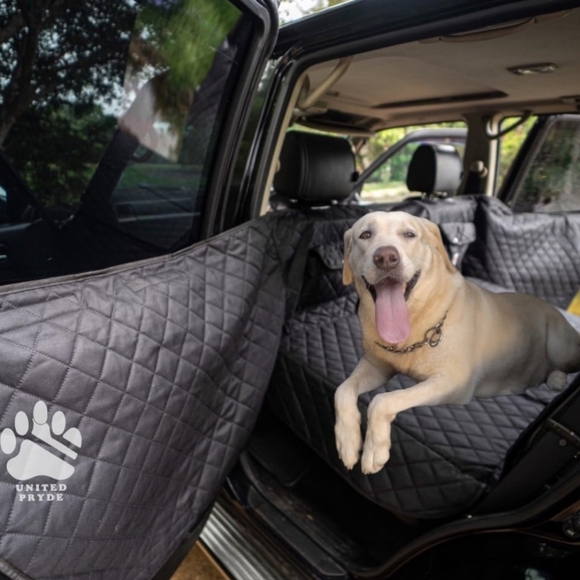 Premium Back Seat Cover for Dogs - Picture 1 of 13